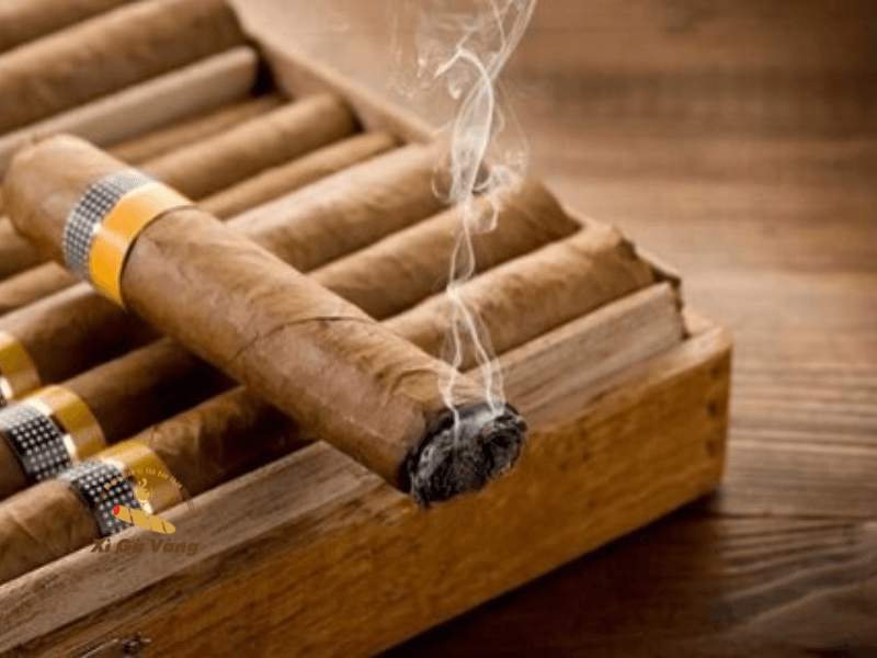 Chọn lựa xì gà thông minh